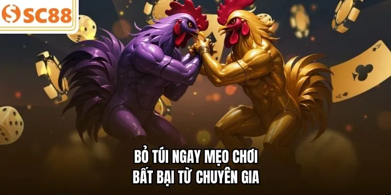 Bỏ túi ngay mẹo chơi bất bại từ chuyên gia 