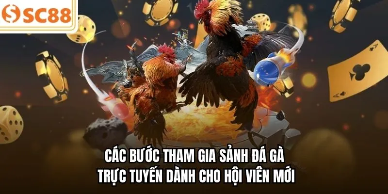 Các bước tham gia sảnh đá gà trực tuyến dành cho hội viên mới