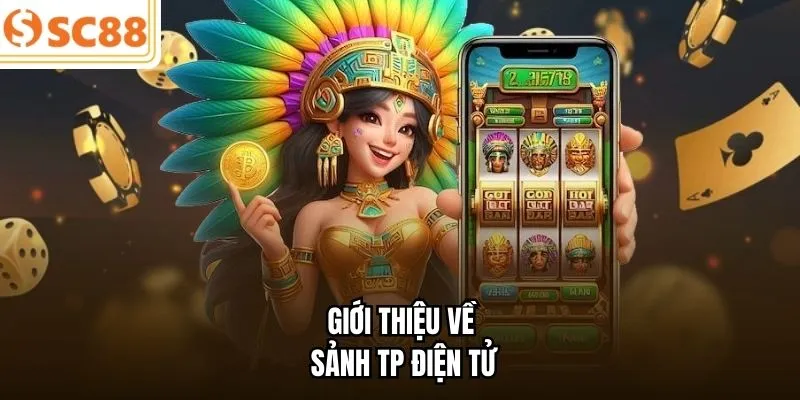 Giới thiệu về sảnh TP điện tử 