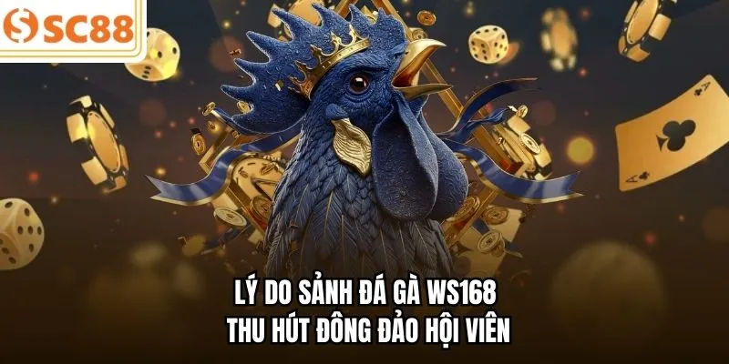 Lý do sảnh đá gà WS168 thu hút đông đảo hội viên