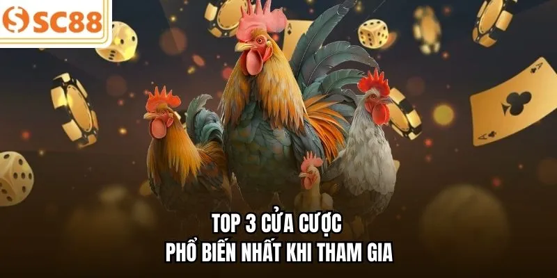 Top 3 cửa cược phổ biến nhất khi tham gia 